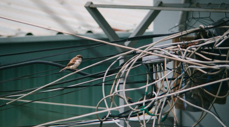 İzmir’de 28-29 Temmuz Planlı Elektrik Kesintisi: Etkilenen İlçeler ve Kesinti Programı