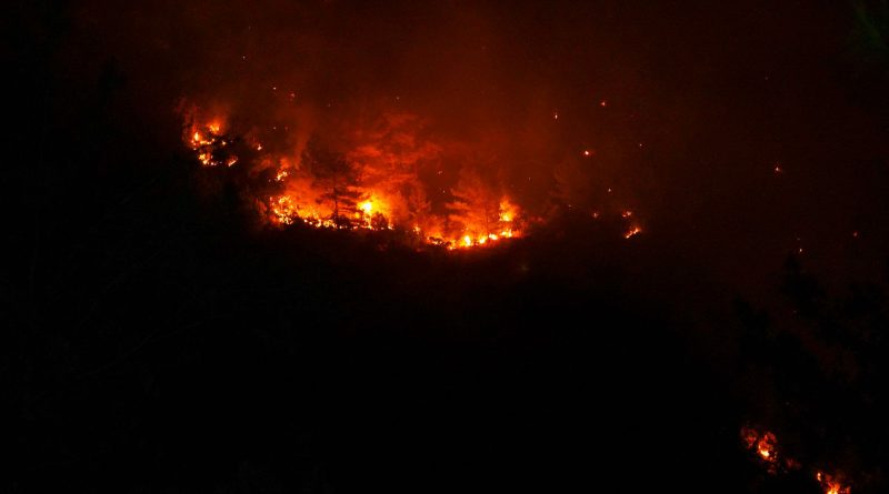 Beylikdüzü’nde Otluk Alanda Yangın Paniği: Alevler Konutlara Yaklaştı
