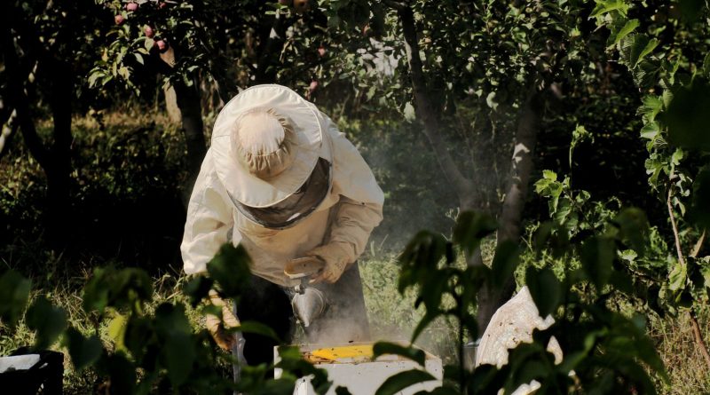 Macahel’de 2026 Bal Hasat Sezonu Törenle Başladı