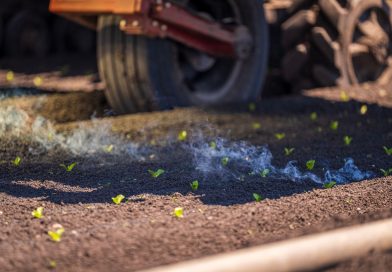 Kastamonu’da Trafik Kazası: Tır ile Çarpışan Traktörün Sürücüsü Hayatını Kaybetti