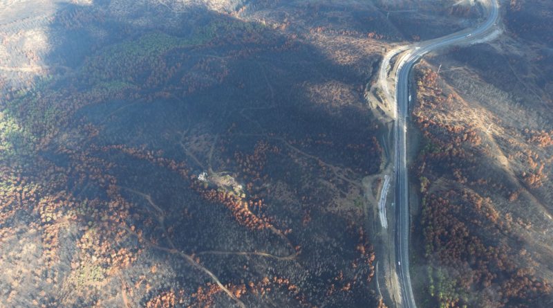 Edirne’de Anız Yangını Ormana Sıçradı: Havadan ve Karadan Müdahale Başladı