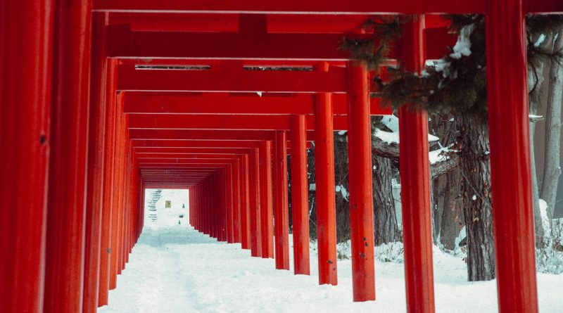 Japonya Savunma Bakanı’ndan Tartışmalı Yasukuni Tapınağı Ziyareti
